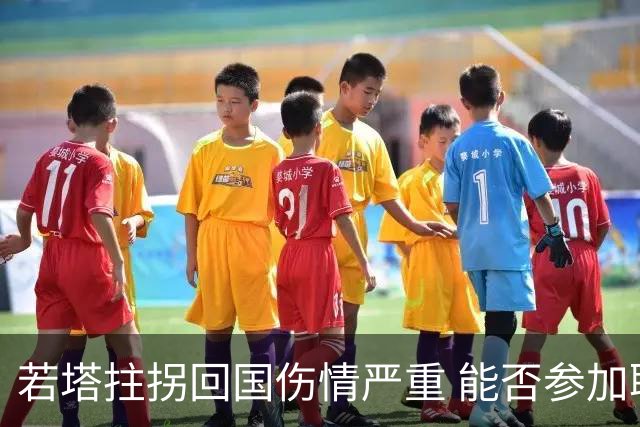 若塔拄拐回国伤情严重 能否参加联赛杯决赛成疑问
