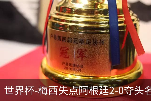 世界杯-梅西失点阿根廷2-0夺头名 携手波兰出线